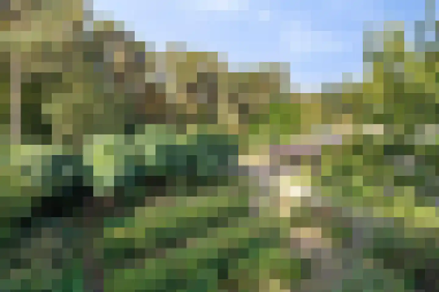 Bijsters 18 Alphen thumbnail 64