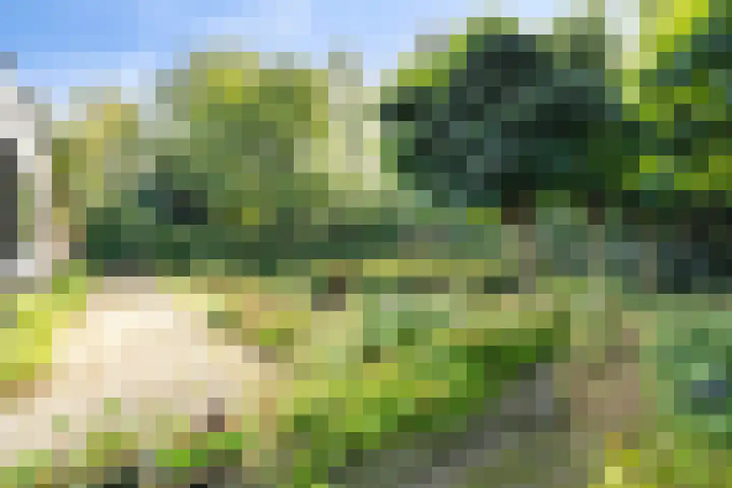 Bijsters 18 Alphen thumbnail 66
