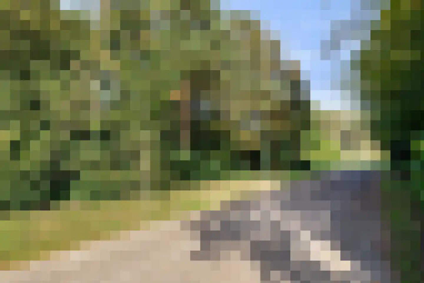 Bijsters 18 Alphen thumbnail 68