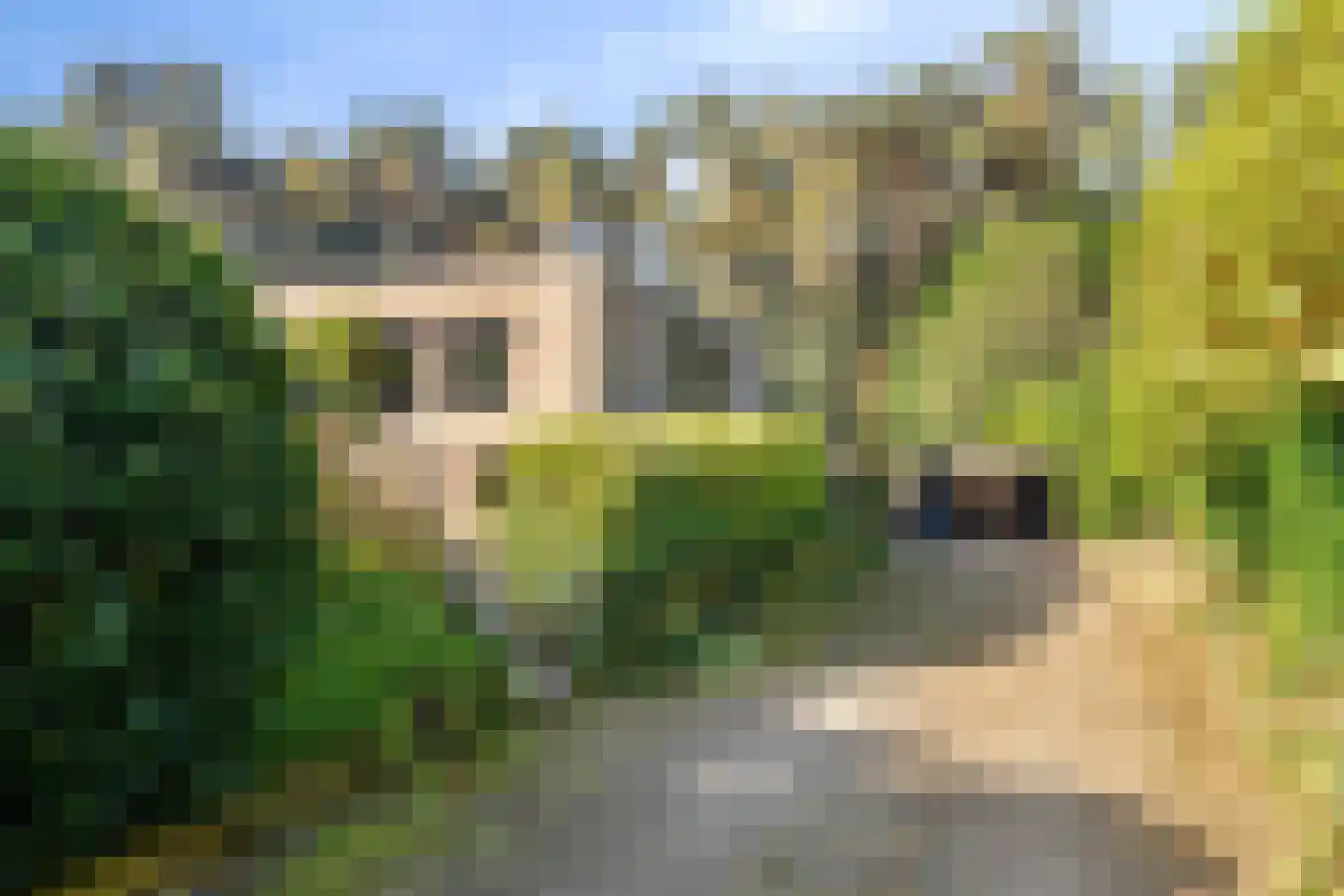Bijsters 18 Alphen thumbnail 8