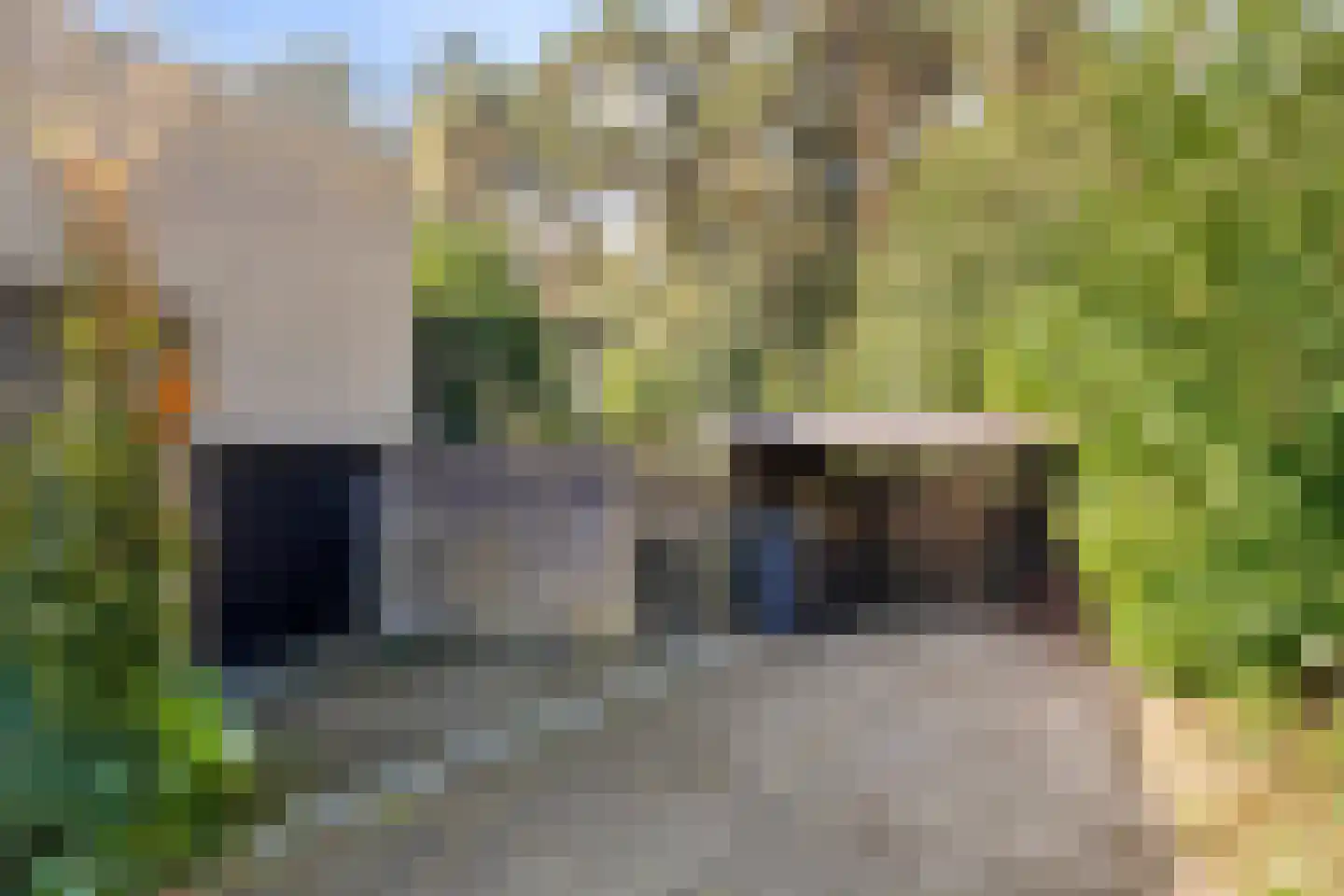 Bijsters 18 Alphen thumbnail 9