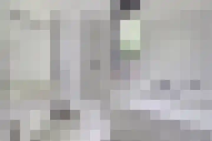Bijsterveld 15 Oosterhout thumbnail 19
