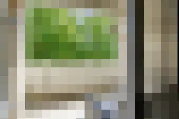 Bijsterveld 15 Oosterhout thumbnail 23