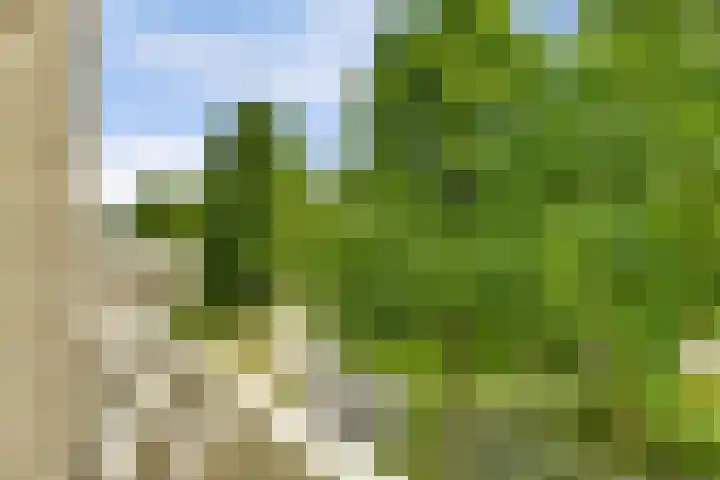 Bijsterveld 15 Oosterhout thumbnail 6