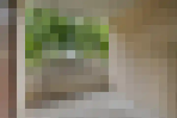 Bijsterveld 3 Oosterhout thumbnail 13