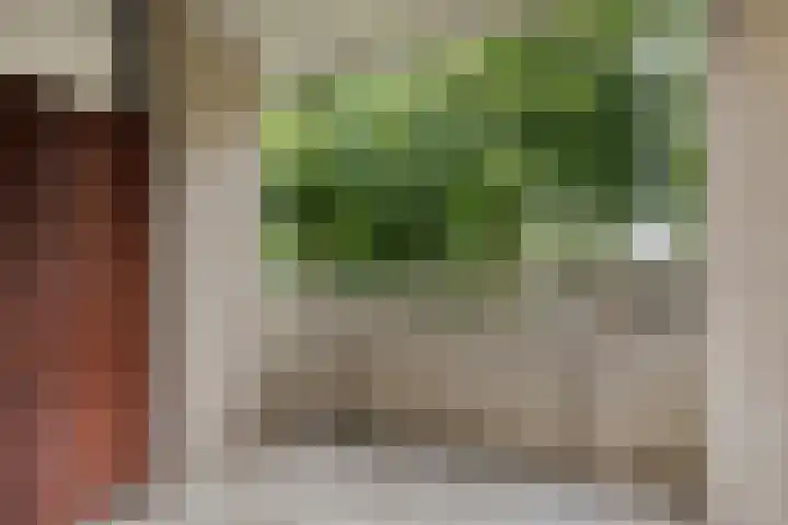 Bijsterveld 3 Oosterhout thumbnail 14