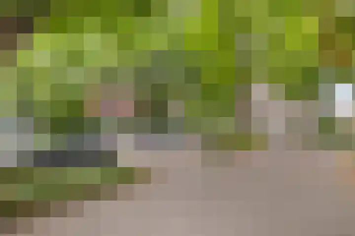Bijsterveld 3 Oosterhout thumbnail 28