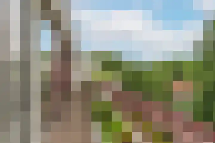 Bijsterveld 36 Ede thumbnail 13