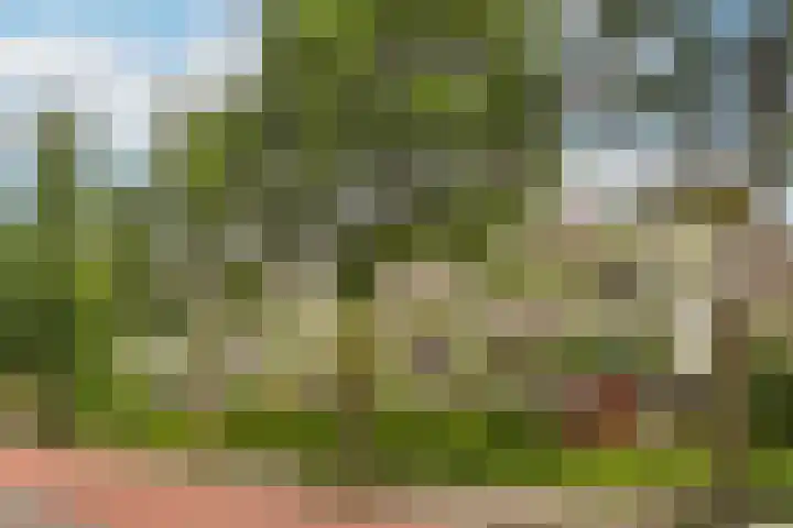 Bijsterveld 36 Ede thumbnail 22