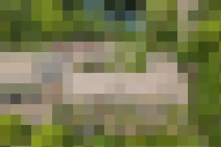 Bijsterveld 36 Ede thumbnail 23