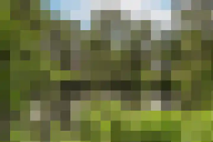 Bijsterveld 36 Ede thumbnail 24