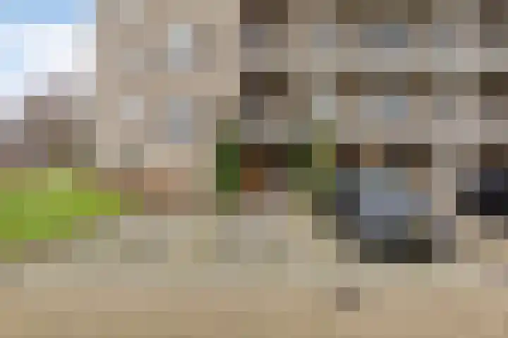 Bijsterveld 75 Oosterhout thumbnail 32