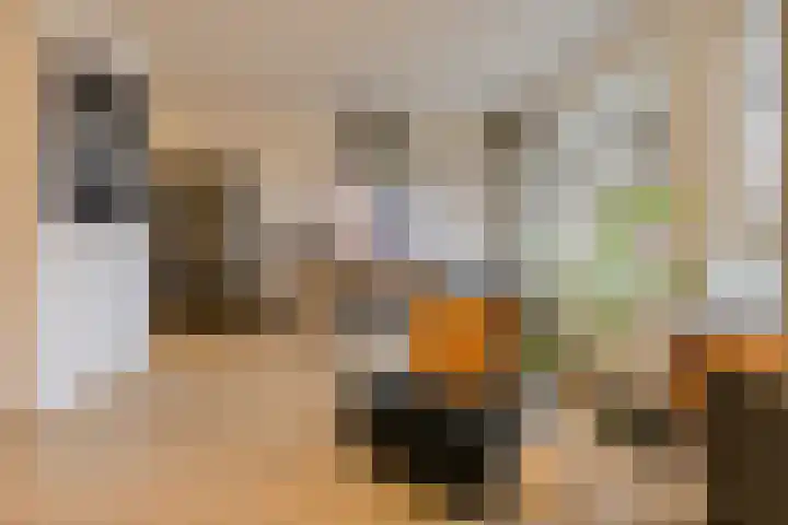 Bijsterveld 83 Oosterhout thumbnail 18