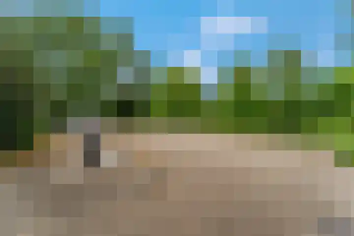 Bijsterveld 9 Ede thumbnail 37
