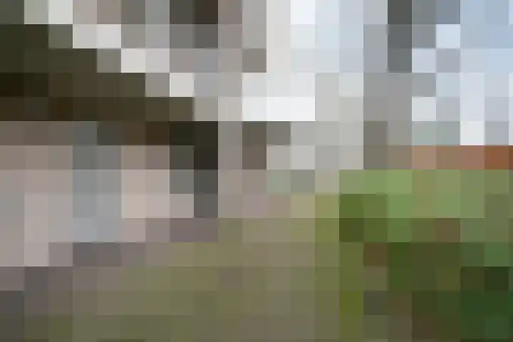 Bijsterveld 9 Oosterhout thumbnail 26
