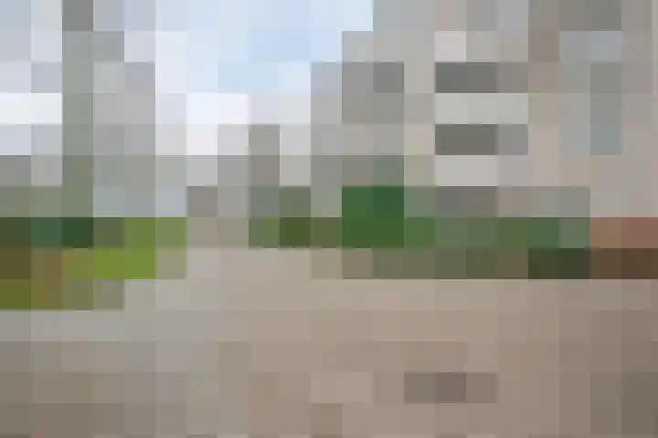 Bijsterveld 9 Oosterhout thumbnail 28