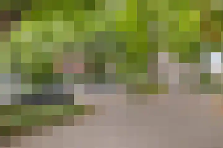 Bijsterveld 9 Oosterhout thumbnail 29