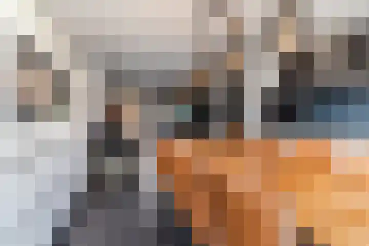 Bijsterveldenlaan 177 Tilburg thumbnail 11