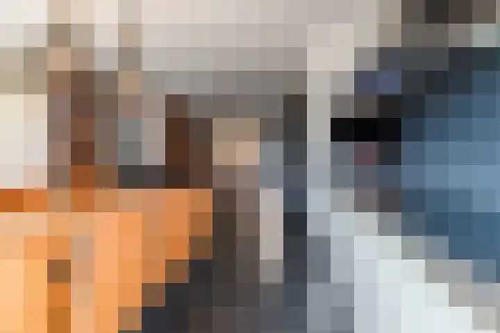 Bijsterveldenlaan 177 Tilburg thumbnail 12