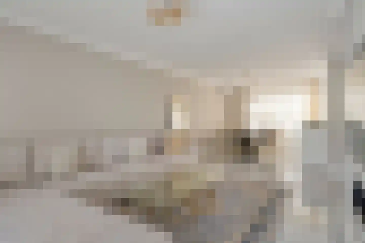 Bijsterveldenlaan 190 Tilburg thumbnail 4