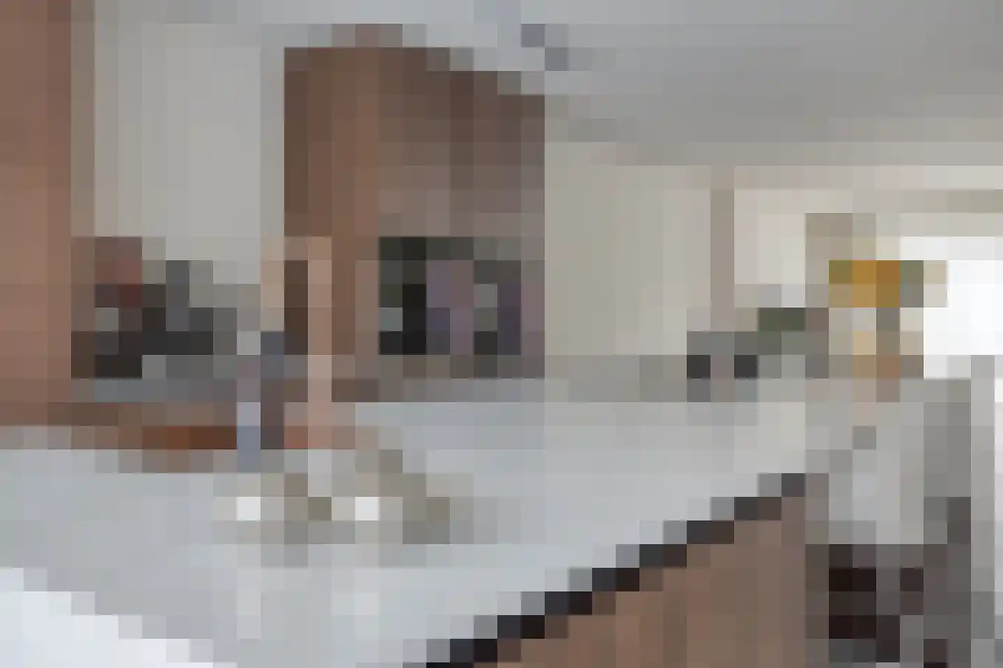 Bijsterveldenlaan 196 Tilburg thumbnail 7