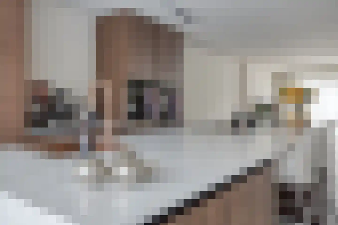 Bijsterveldenlaan 196 Tilburg thumbnail 8