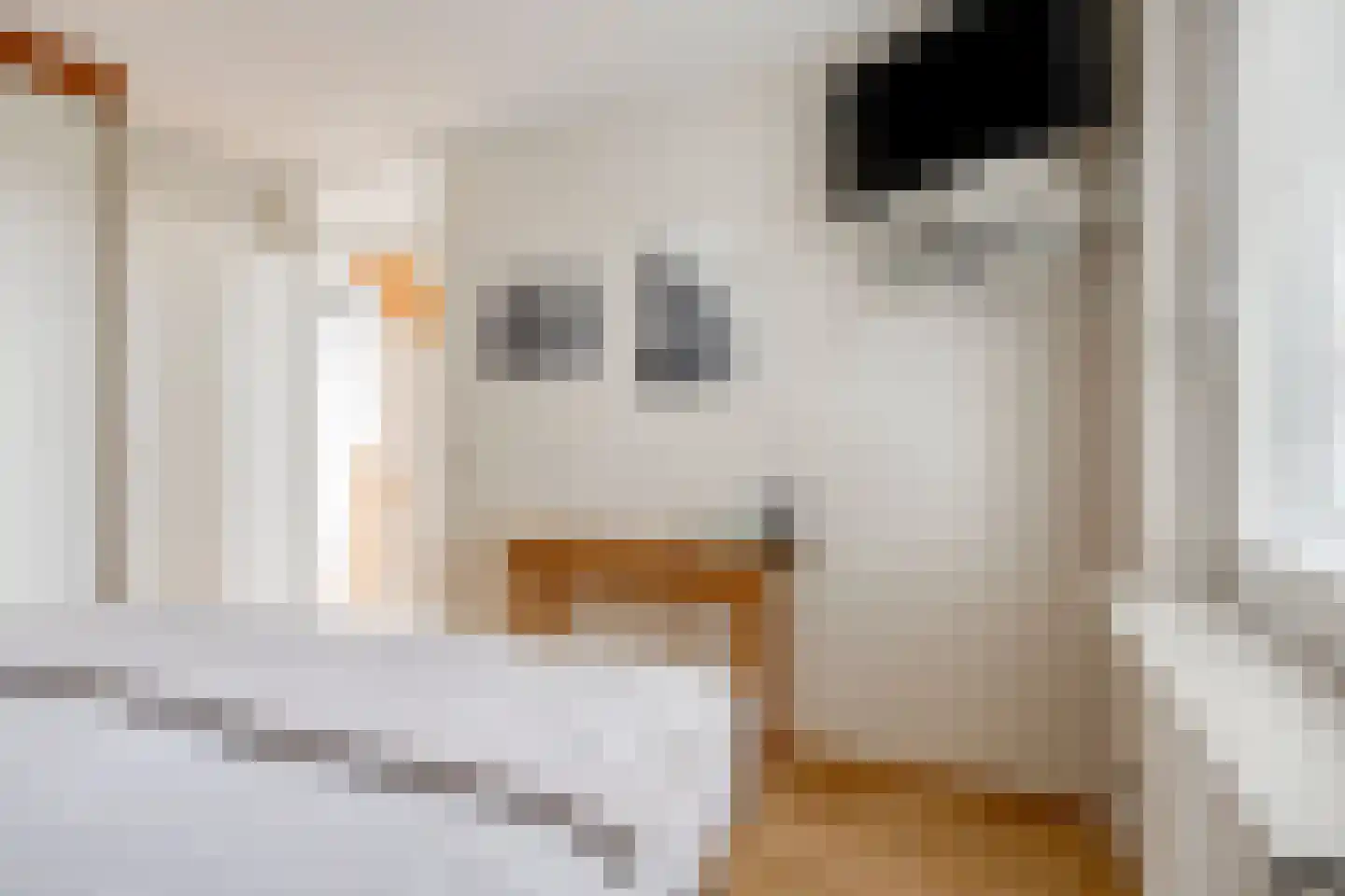 Bijsterveldenlaan 219 Tilburg thumbnail 23