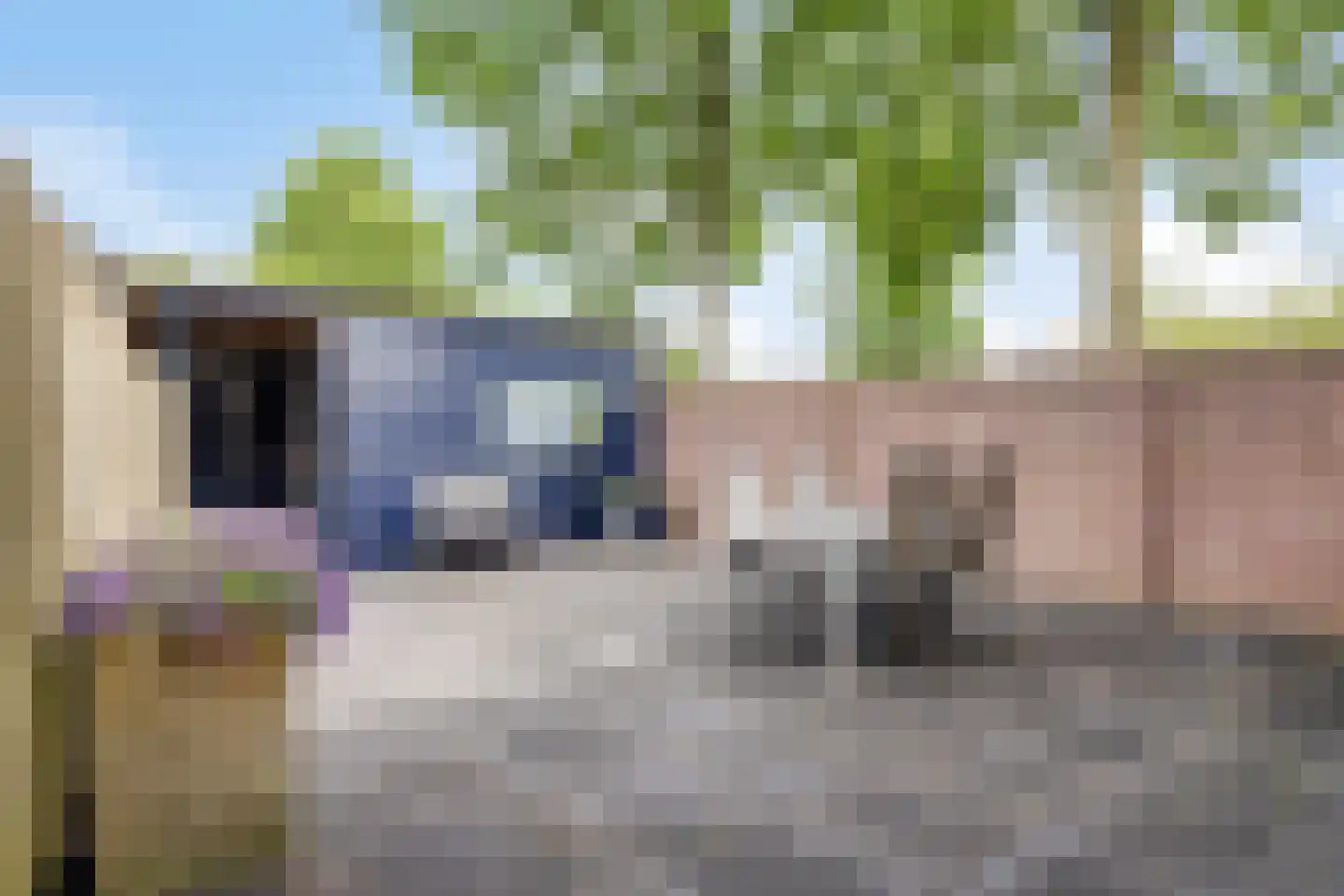 Bijsterveldenlaan 219 Tilburg thumbnail 4