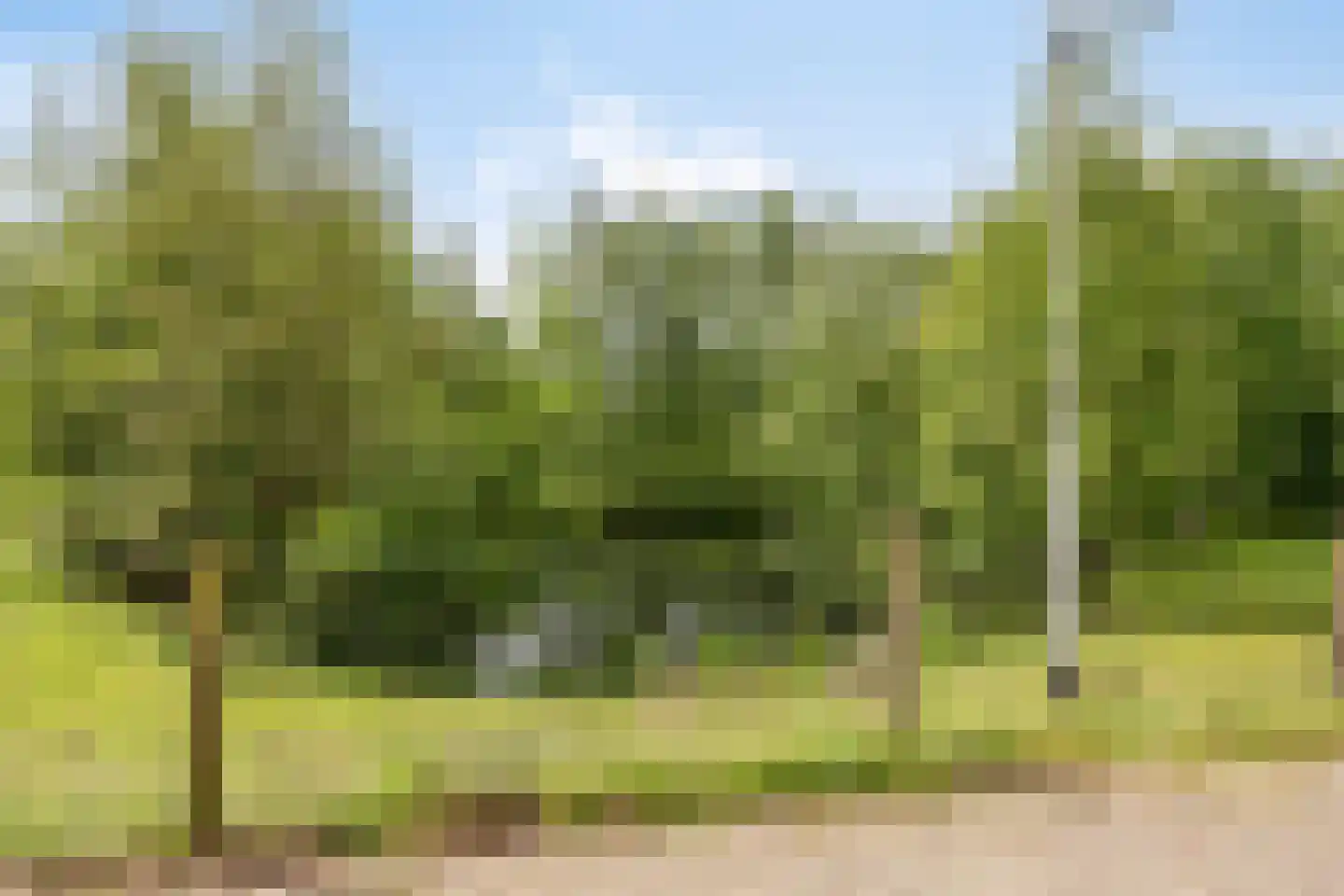 Bijsterveldenlaan 219 Tilburg thumbnail 46