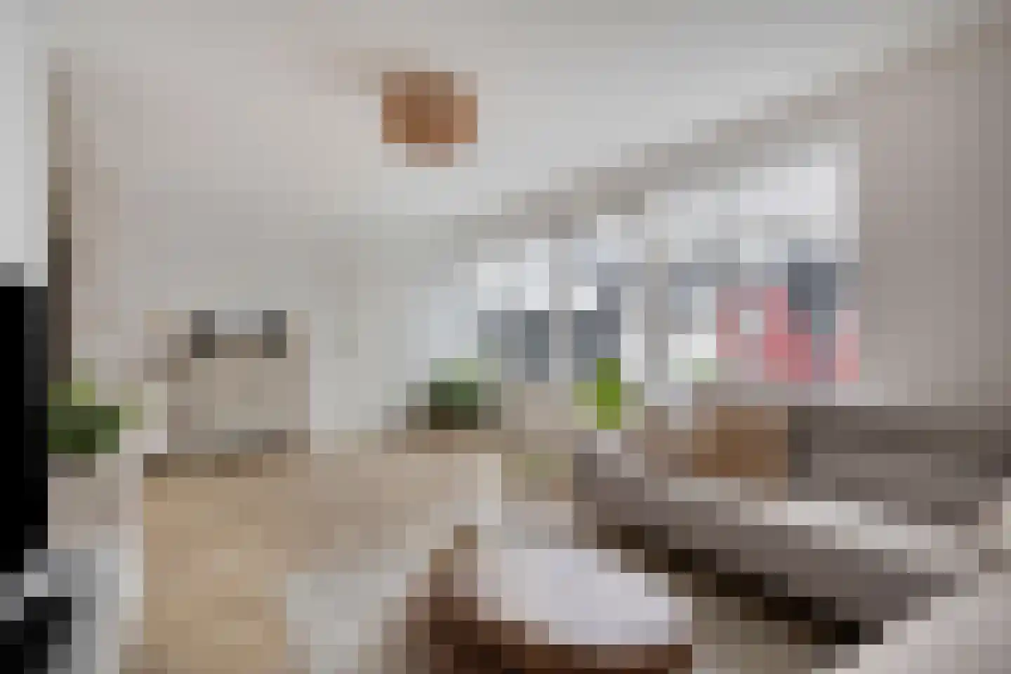 Bijsterveldenlaan 226 Tilburg thumbnail 12
