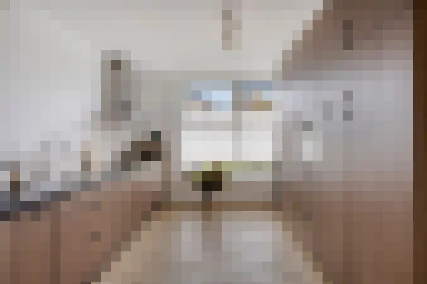 Bijsterveldenlaan 226 Tilburg thumbnail 14
