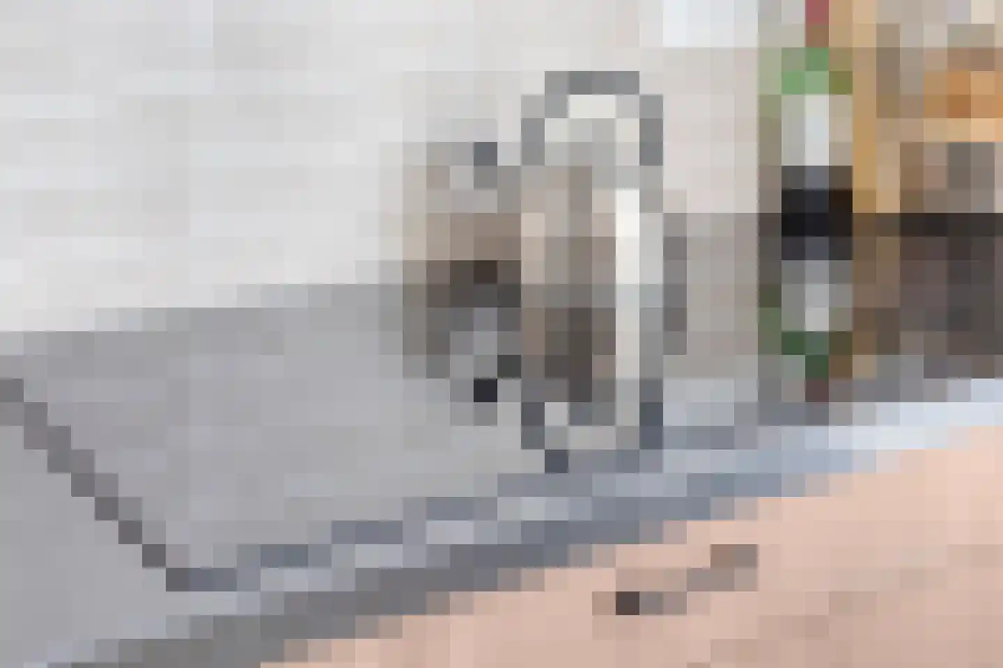 Bijsterveldenlaan 226 Tilburg thumbnail 18