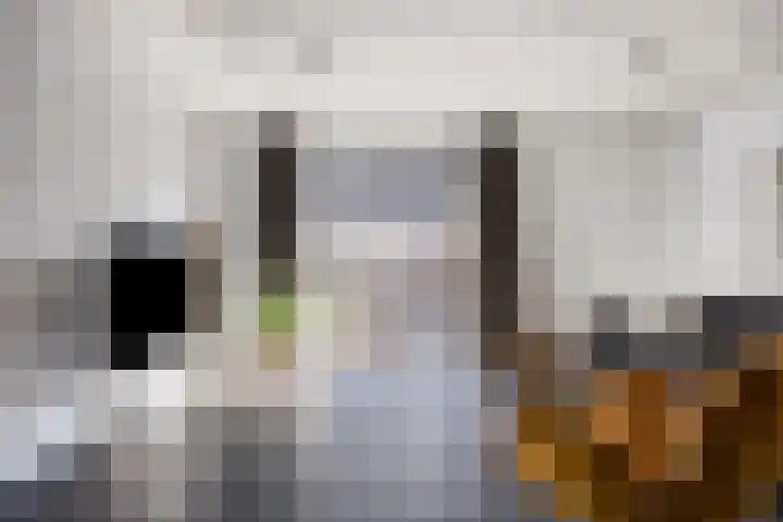 Bijsterveldenlaan 256 Tilburg thumbnail 12