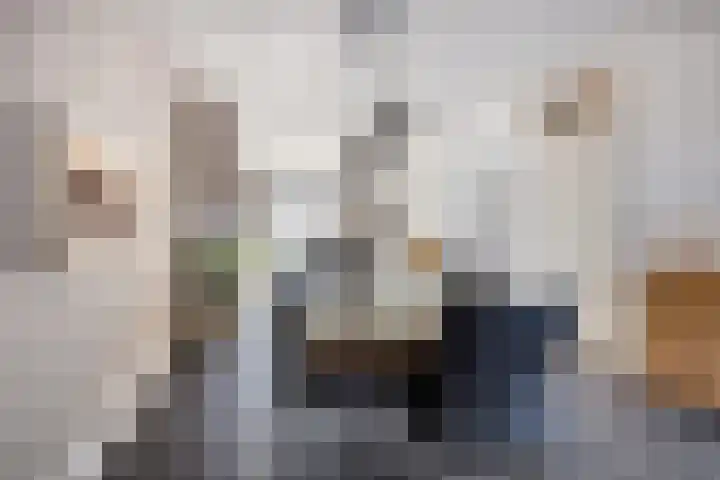 Bijsterveldenlaan 256 Tilburg thumbnail 13