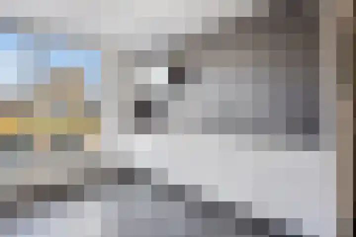 Bijsterveldenlaan 256 Tilburg thumbnail 15