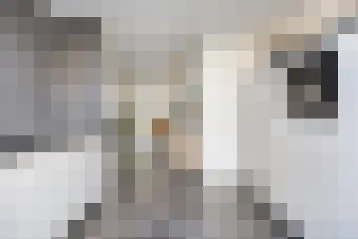 Bijsterveldenlaan 256 Tilburg thumbnail 17