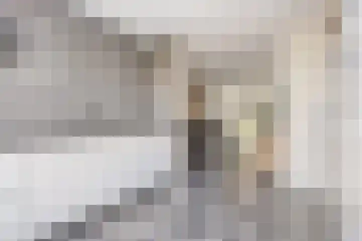 Bijsterveldenlaan 256 Tilburg thumbnail 18