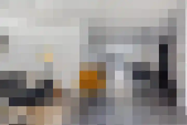 Bijsterveldenlaan 256 Tilburg thumbnail 4