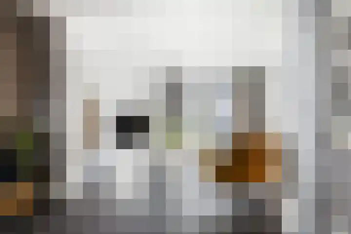 Bijsterveldenlaan 256 Tilburg thumbnail 5