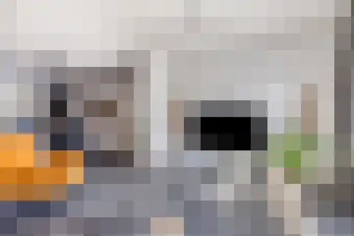 Bijsterveldenlaan 256 Tilburg thumbnail 7