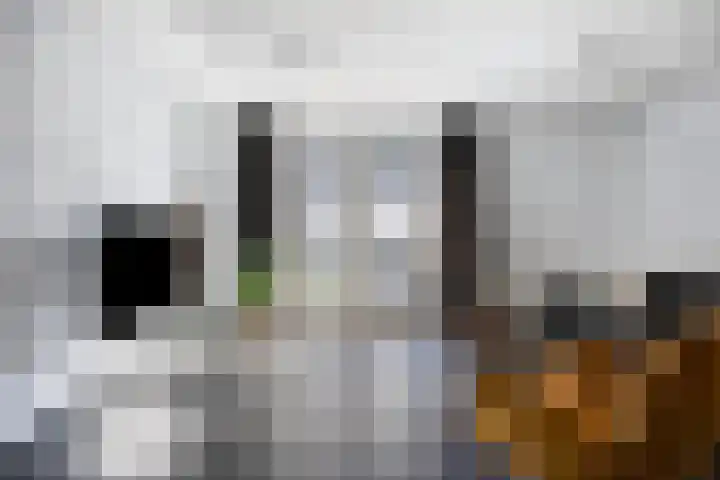 Bijsterveldenlaan 256 Tilburg thumbnail 9
