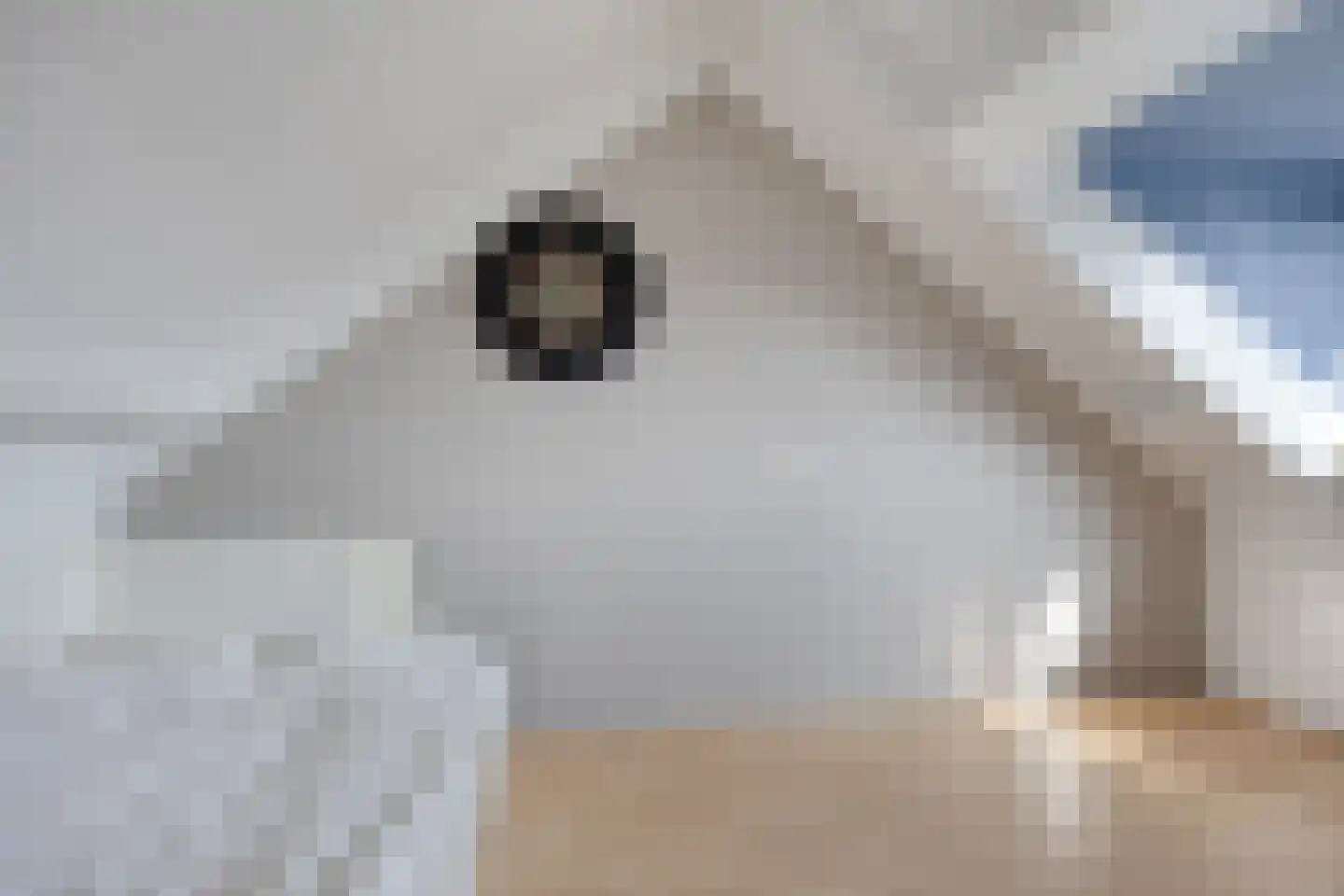 Bijsterveldenlaan 272 Tilburg thumbnail 30