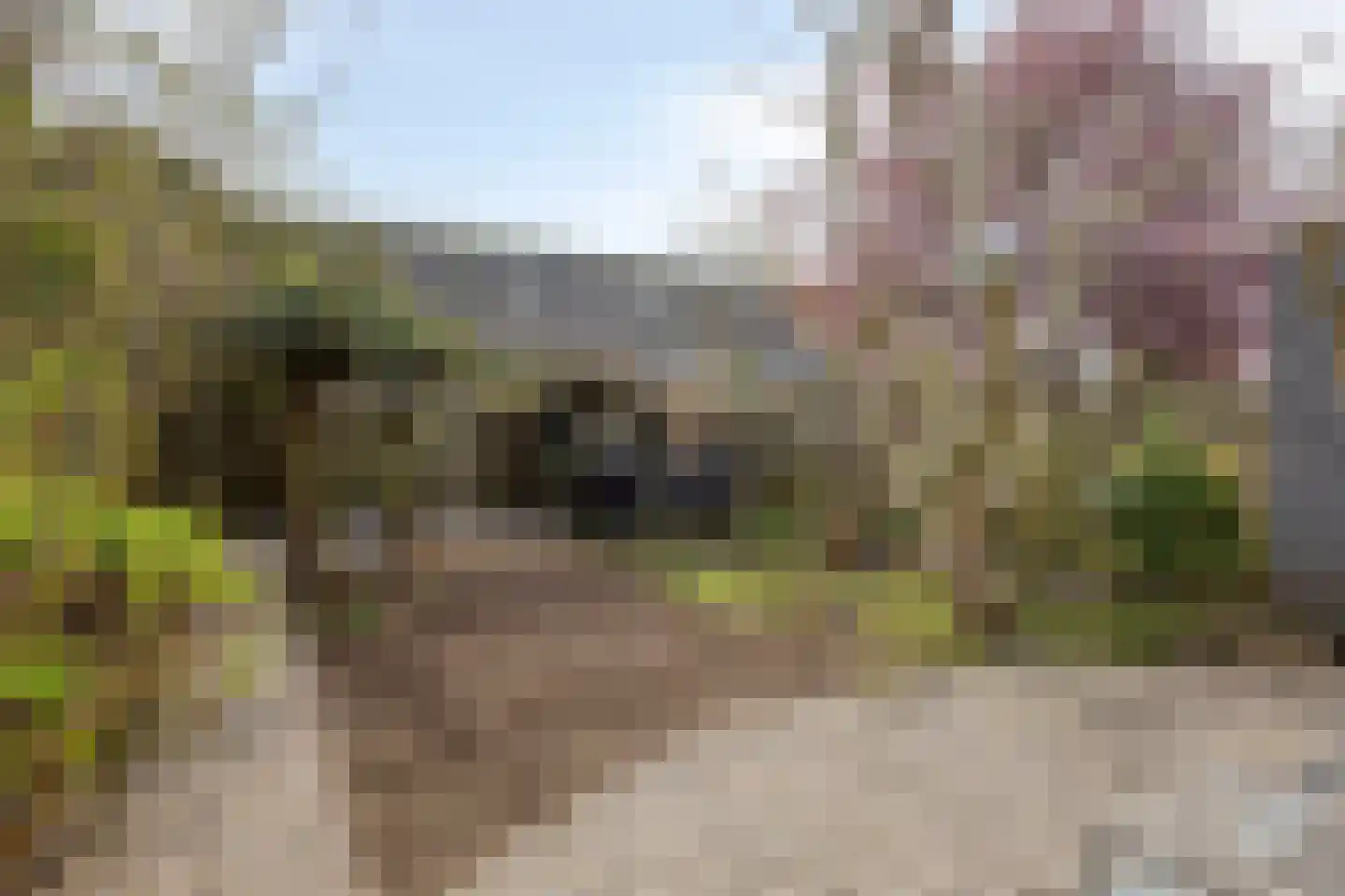 Bijsterveldenlaan 274 Tilburg thumbnail 4