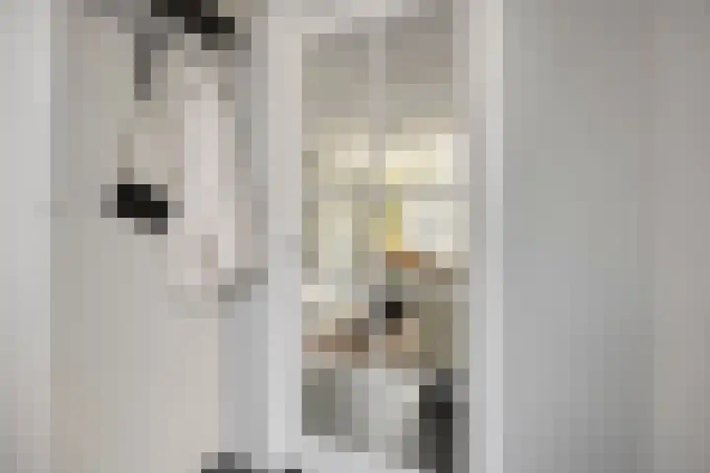 Bijsterveldenlaan 274 Tilburg thumbnail 7