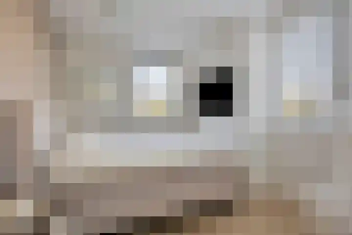 Bijsterveldenlaan 282 Tilburg thumbnail 24