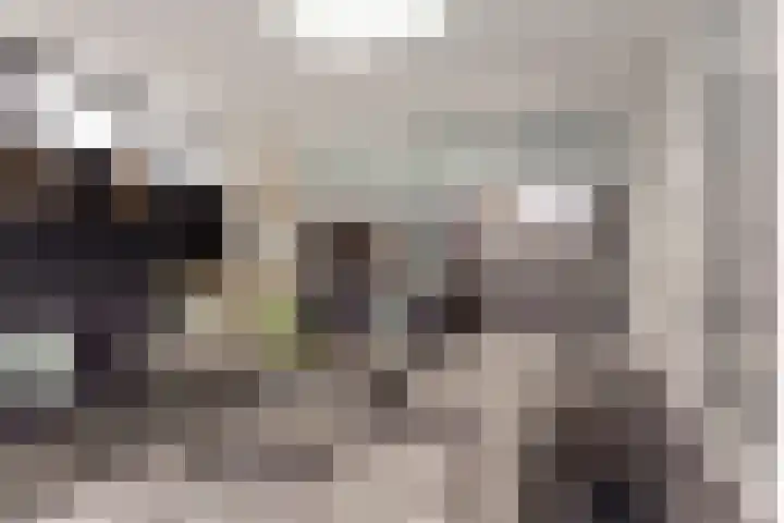 Bijsterveldenlaan 282 Tilburg thumbnail 32