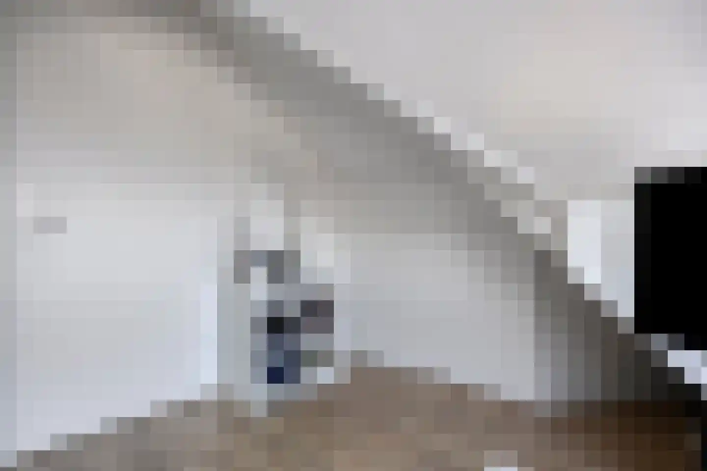 Bijsterveldenlaan 284 Tilburg thumbnail 45