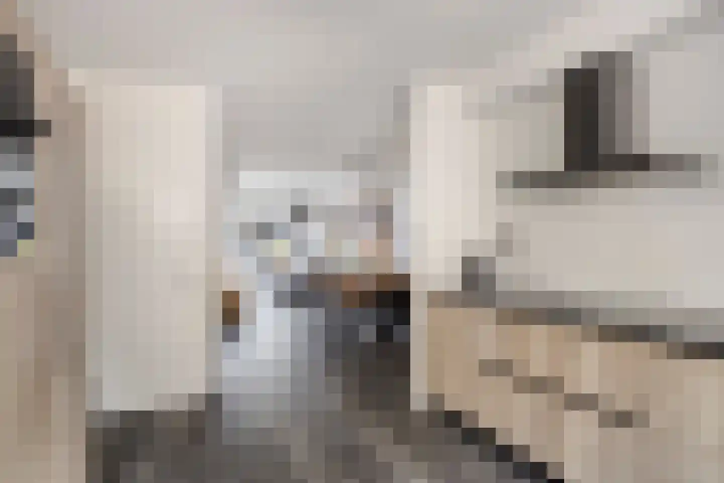 Bijsterveldenlaan 286 Tilburg thumbnail 14