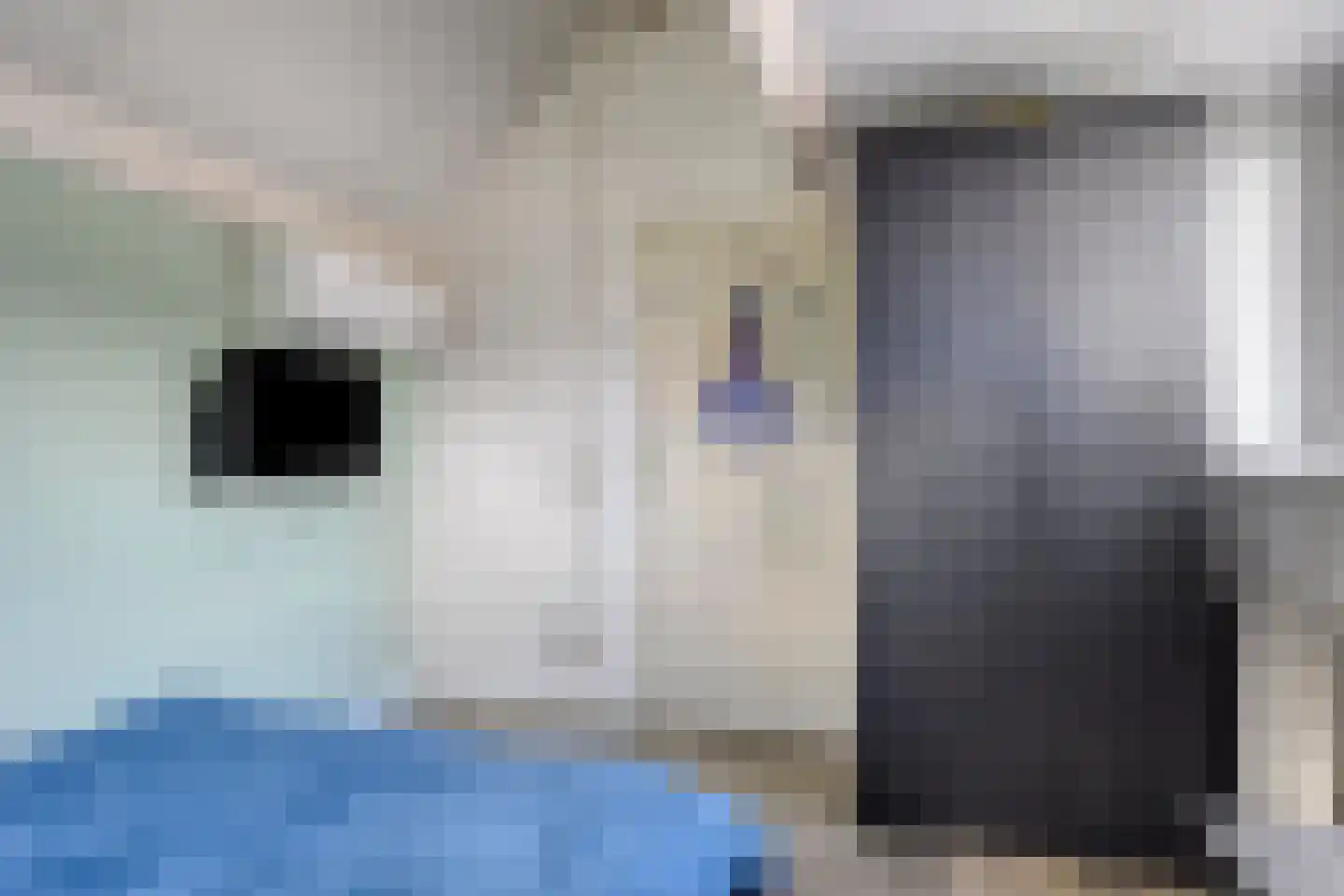 Bijsterveldenlaan 31 Tilburg thumbnail 10