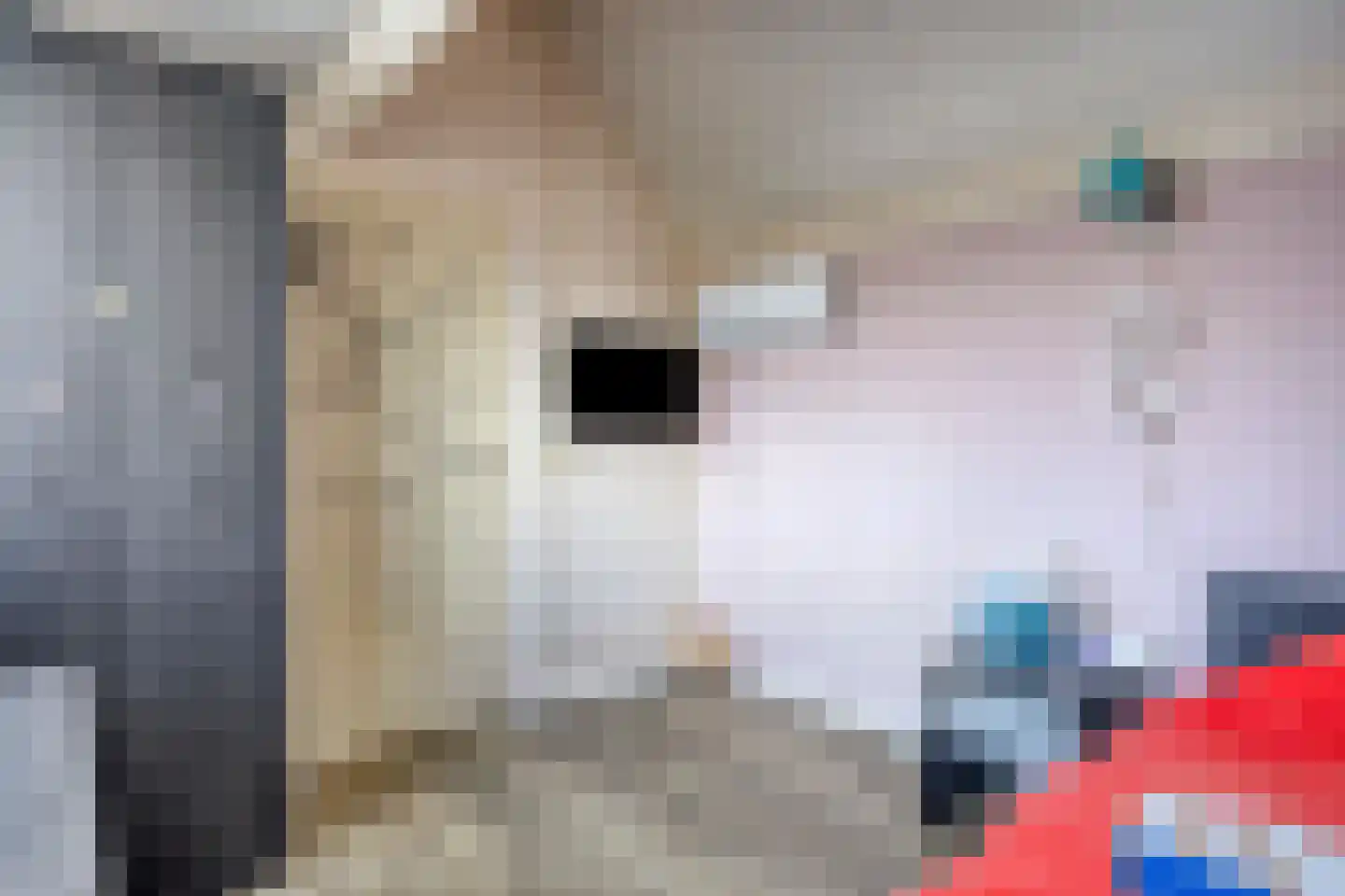Bijsterveldenlaan 31 Tilburg thumbnail 11